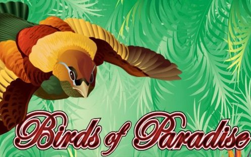 Birds of Paradise Slot Machine Review